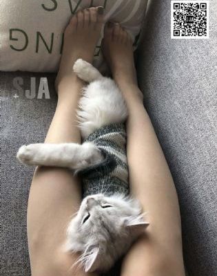 欧美人与马图片_全集无删减版高清免费观看